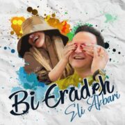 دانلود آهنگ جدید ایلای اکبری بی اراده